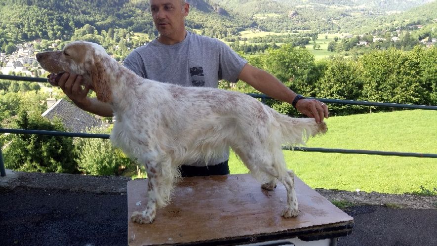 De Vic Sur Cere - RCAC et 1Exc en CIF à Aurillac et Tan